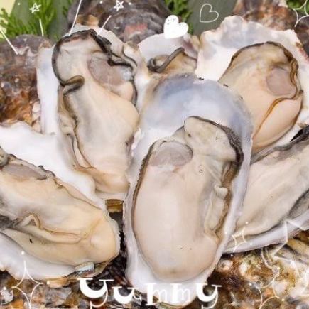 【牡蠣食べ放題】幻の一年牡蠣の食べ放題！60分4500円(税込4950円)