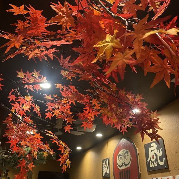 【落ち着いた店内】1階は全てテーブル席で美味しい料理、お酒を堪能できます。少人数に最適な空間を完備。お一人様でも過ごしやすい配慮があり、気軽に立ち寄れる雰囲気です☆落ち着きある色調と木の温もりが、会話をより楽しめる環境を作ります。ふらっと気軽に利用できるのも魅力♪ぜひお待ちしております！