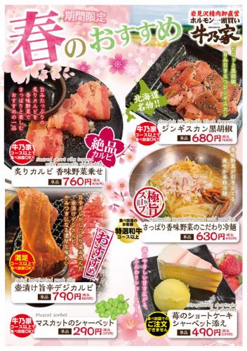 春のおすすめ！！