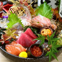 Assortment of five types of sashimi