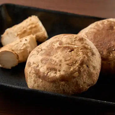 新潟県ブランドスワンのしるし椎茸