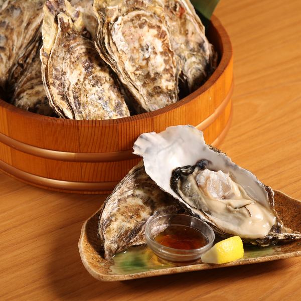 【厚岸から直送される新鮮な生牡蠣◎】生牡蠣528円(税込)
