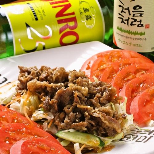 한국 정원 쇠고기 샐러드
