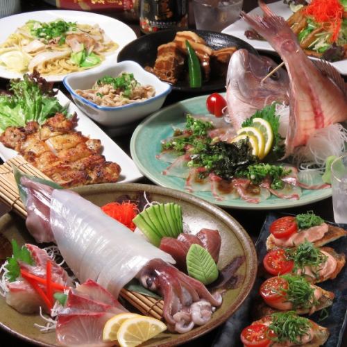 飲み放題付きコースがお得