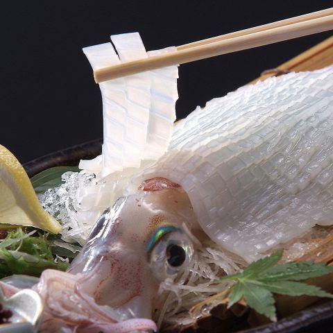 船凍ヤリイカ