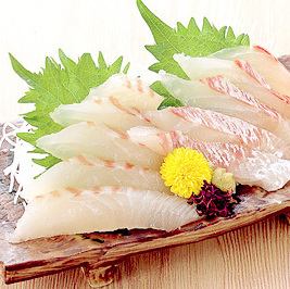 朝〆真鯛のお刺身