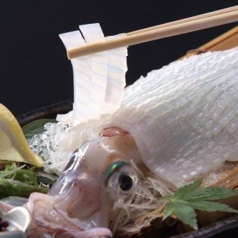 獺祭！ヤリイカorヒラメ、ゴマサバ付き！【極み】コース6000円&2時間飲み放題付き！