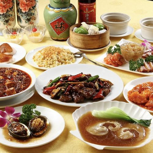 【宴会に】お悩みでしたら熊猫飯店で♪女性も喜ぶ美食でお待ちしております♪コースも豊富にございます♪