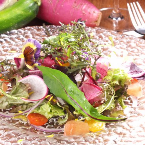 Fresh organic vegetable salad