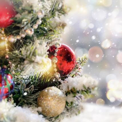 【聖誕節】聖誕課程 ◇聖誕課程◇