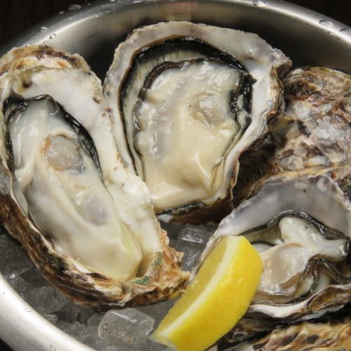 ★海の恵みをそのまま味わえる！旨み際立つ★「生牡蠣の盛り合わせ」3種/5種