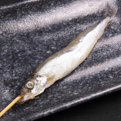 ししゃも