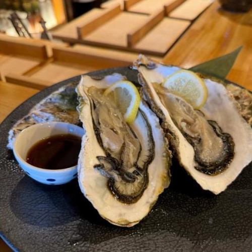 贅沢な輝きを放つ、とろける食感の【生牡蠣】を自分へのご褒美にどうぞ◎