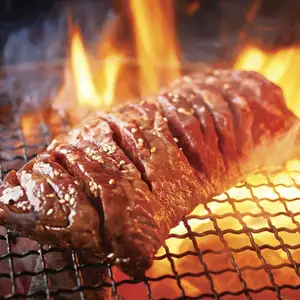 太大了!BOSS Kalbi