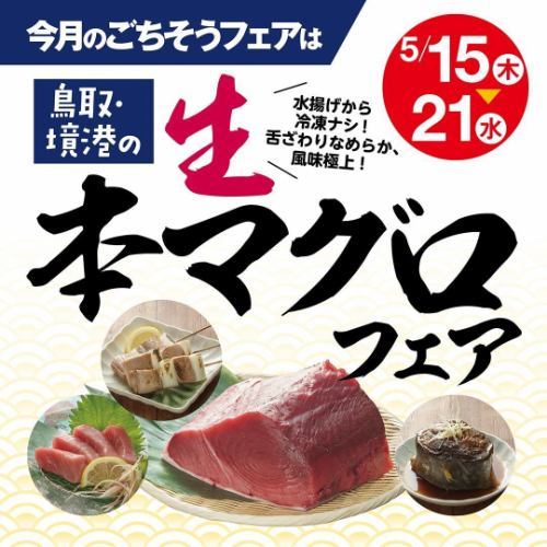 鳥取・境港 生 本マグロフェア開催 5/15～21