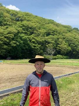 今日も朝から田んぼで