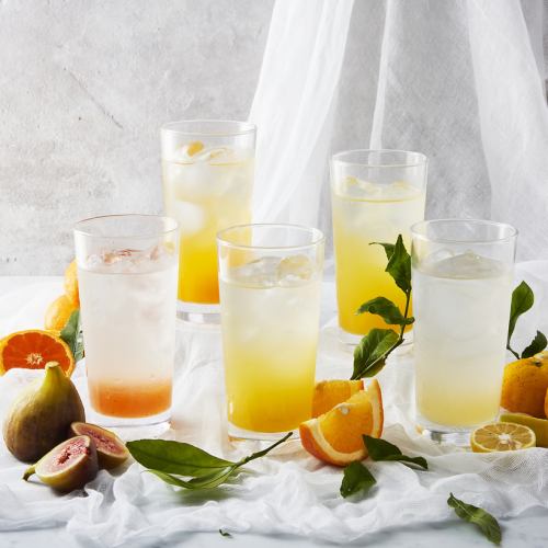 [FRUIT SQUASH Hakata Fig / Wenzhou Mandarin Orange / Amanatsu / Okinawa Mixed Fruit / Kabosu & Yuzu