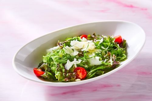 Garden Salad