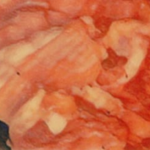 上ホルモン(シマチョウ)