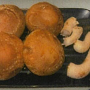 秩父・皆野町の椎茸