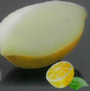 レモンシャーベット