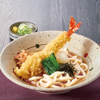 Large shrimp tempura and grated daikon udon (hot or cold)
