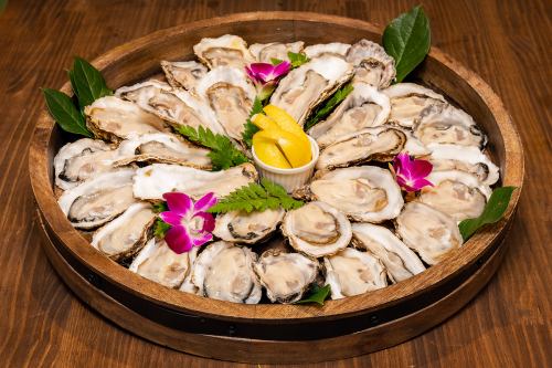 1 dozen raw or grilled oysters (12 oysters)