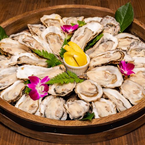 An impressive oyster platter!