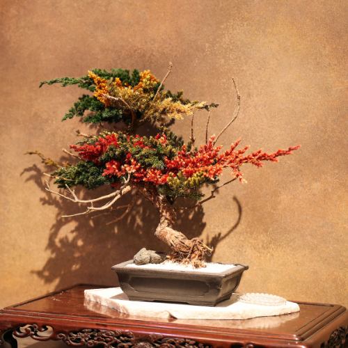 歴史ある蔵を改装した空間