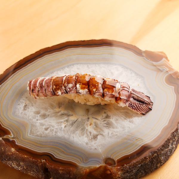 【シャコ】北海道らしい力強い旨味と独特の甘さ