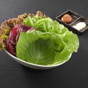 生菜