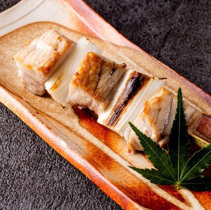 Tuna and green onion skewers