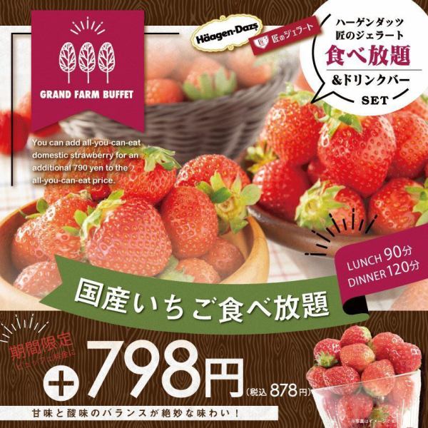 Limited time only [Domestic strawberries] all-you-can-eat plan!