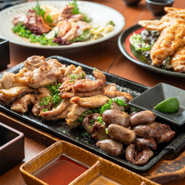 【専門店のこだわりコース】ブランド毎の『鶏』の旨さを！大充実のコースは4コースご用意