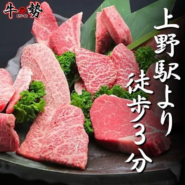 2名～6名用個室。周りの目を気にせずに焼肉を堪能できるプライベート個室を完備。お子様連れでも安心してご利用頂けるお席でお待ちしております！また、20名様以上でご利用頂く場合は貸切でもご案内が可能でございますので気軽にお問い合わせ下さいませ！