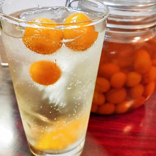 自家製きんかん酢サワー