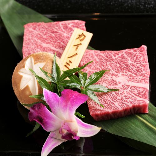 上カイノミ