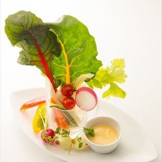 Stick salad and special dipping sauce