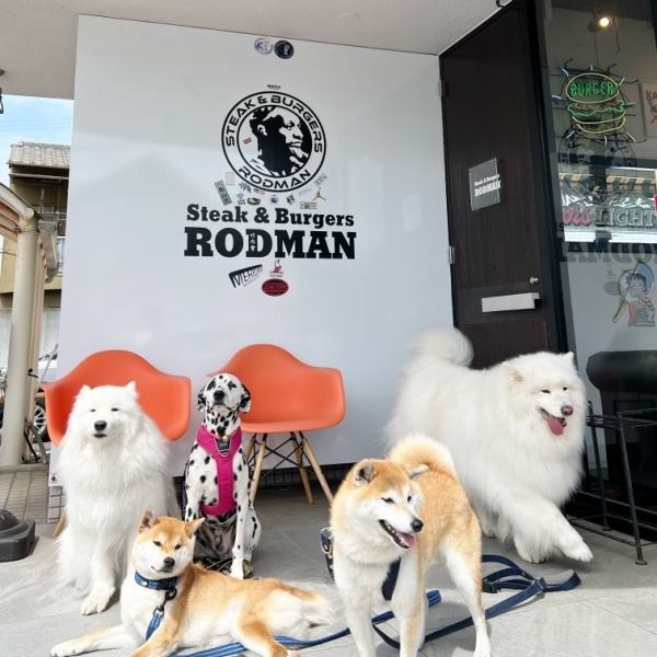 A popular terrace seat where you can refresh yourself with your pet while feeling the sky and breeze! Dogs of all sizes are welcome, so you can enjoy lunch or dinner with your dog.We are looking forward to your visit!