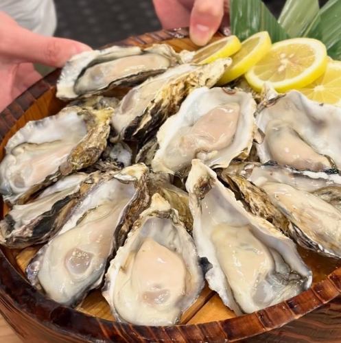 国産の生牡蠣が９９円！！