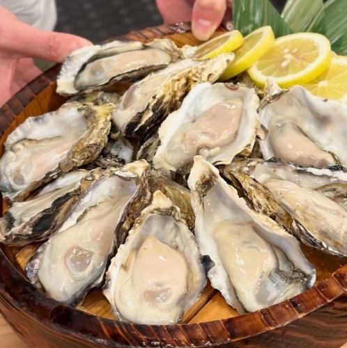 鮮度抜群！超新鮮な【兵庫県から直送の国産牡蠣！】