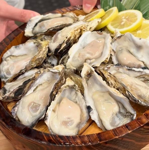 これぞ最強【国産！兵庫県から直送！！】生牡蠣OK/蒸しでもOK