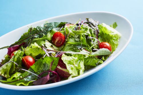 ガーデンサラダ