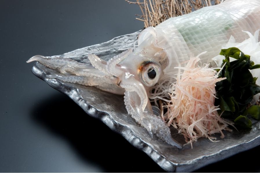 我們提供天婦羅或鹽烤geso！“魷魚Ikizukuri”一個人3,300日元