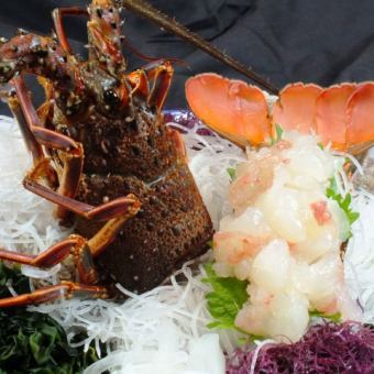 You can also enjoy spiny lobster... "Ika-ya Luxury Course" 12 dishes with all-you-can-drink for 11,000 yen