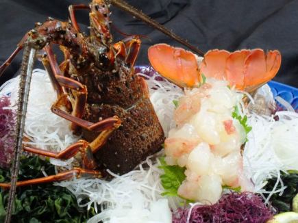 You can also enjoy spiny lobster... "Ika-ya Luxury Course" 12 dishes with all-you-can-drink for 11,000 yen