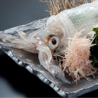 Monday to Thursday only ★ 2 hours of all-you-can-drink included, 8 dishes including live squid sashimi/today's sashimi, etc., 5,500 yen (tax included)