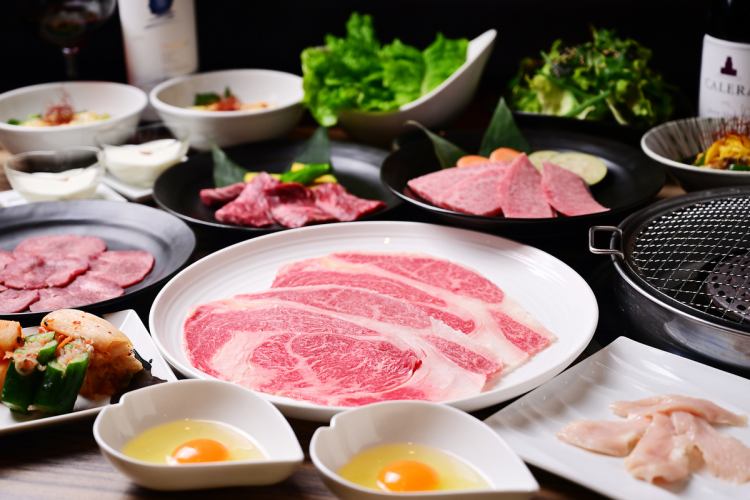 【厳選 それいけ精香園コース】★オススメ★9000円(全11品)税込 90分飲み放題付き!