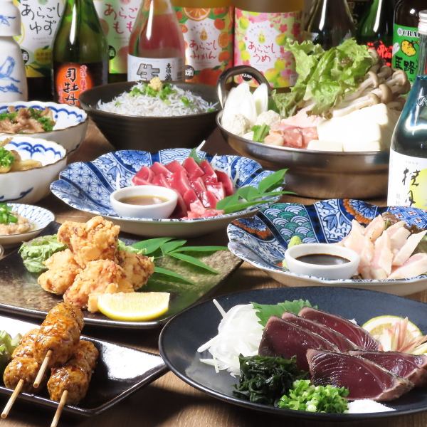 ☆土佐酒と土佐料理の魅力を堪能☆】高知の地酒(土佐酒)～土佐鶴、船中八策、司牡丹、瀧嵐などなど