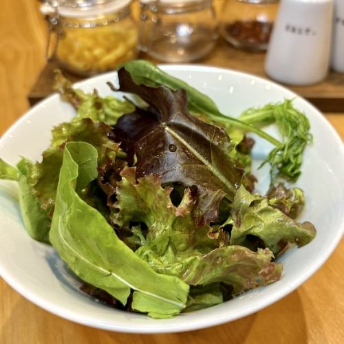 グリーンサラダ　～自家製イタリアンドレッシング～
